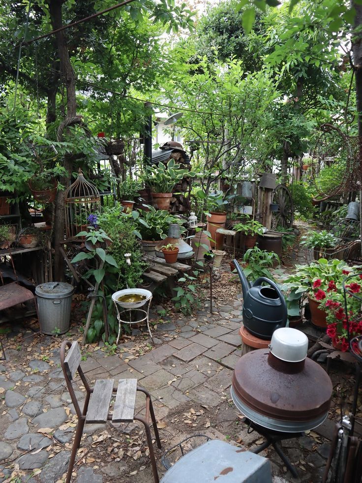 an outdoor garden with lots of potted plants and furniture in the middle of it