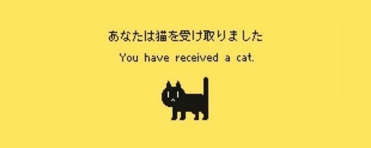 an image of a cat with the words you have received a cat written in chinese