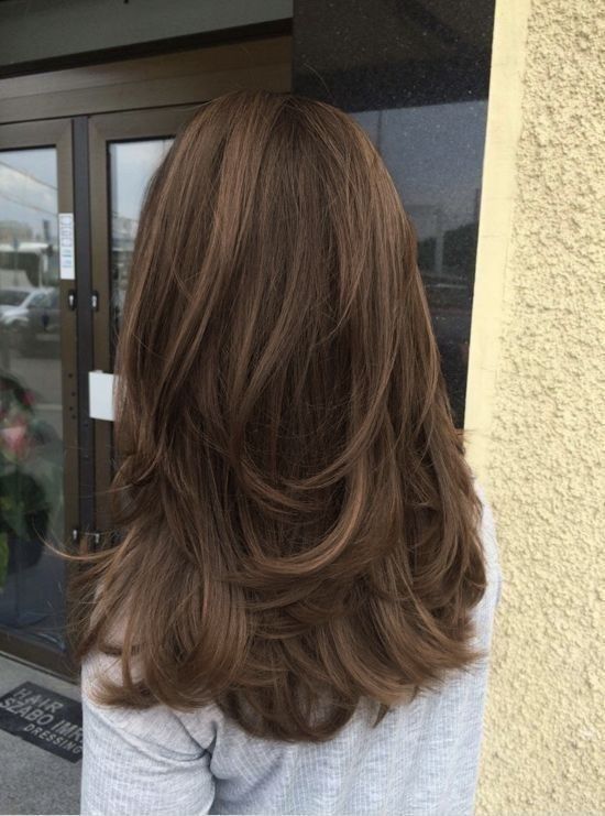 Hair Cut 2024 Girl, Hair Cut Style For Girls 2023, Layers Back Of Hair, U Shape Layered Haircut, Layered Long Brown Hair, Brown Hair Butterfly Cut, Viviane Audi Hair, Light Layers Haircut, Butterfly Haircut Brown Hair