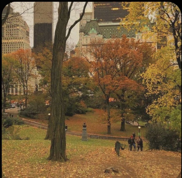 people are walking through the park in autumn