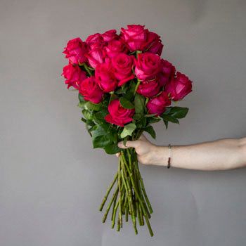 a person holding a bunch of red roses in their hand, against a gray wall