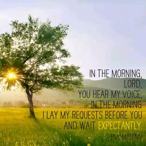 a tree in the middle of a field with a quote on it that says, in the morning lord you hear my voice in the morning