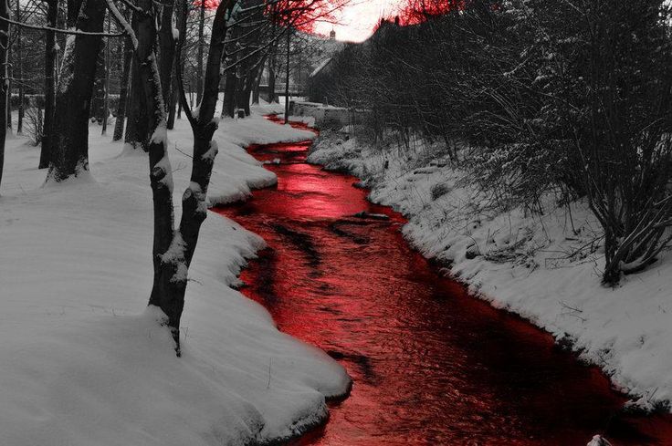 a river running through a snow covered forest