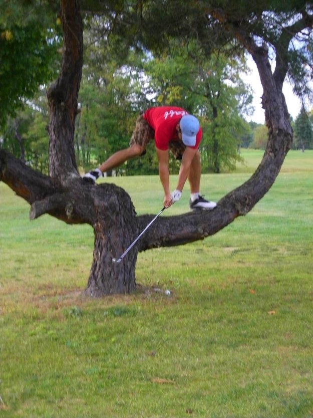 a man in red shirt and blue hat playing golf on a tree branch with green grass