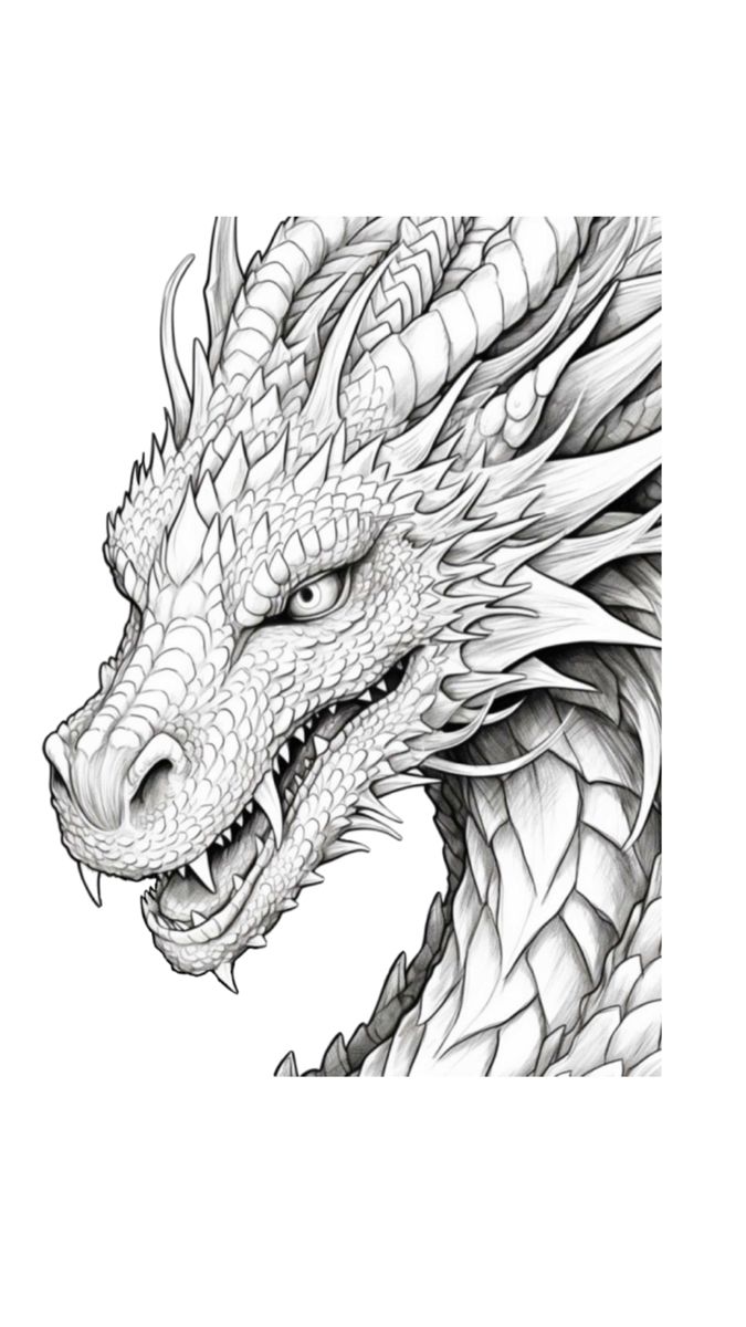 a drawing of a dragon with its head turned to the side and it's eyes open