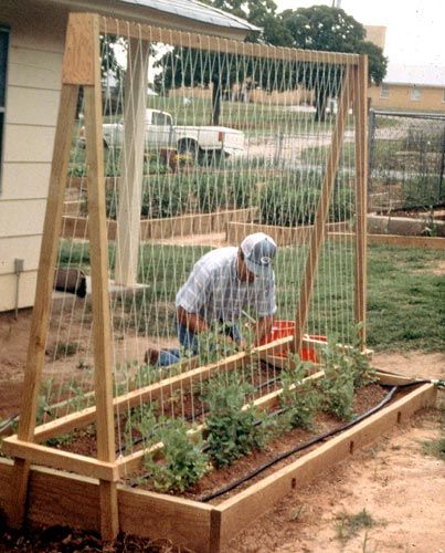 a person tending to plants in a garden