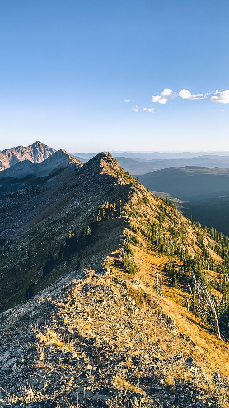 the top of a mountain with trees on it