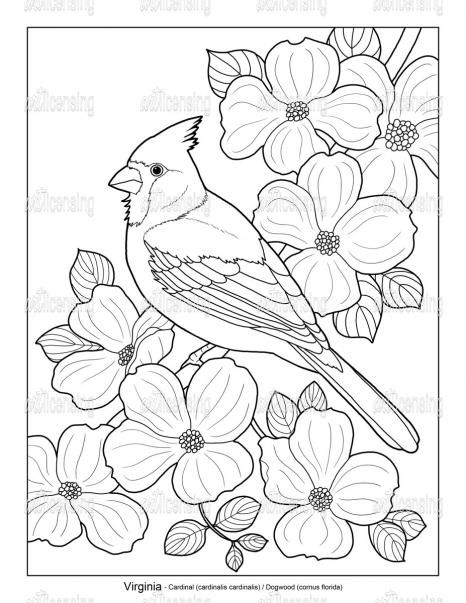 a bird sitting on top of flowers with the words, coloring pages for adults and children