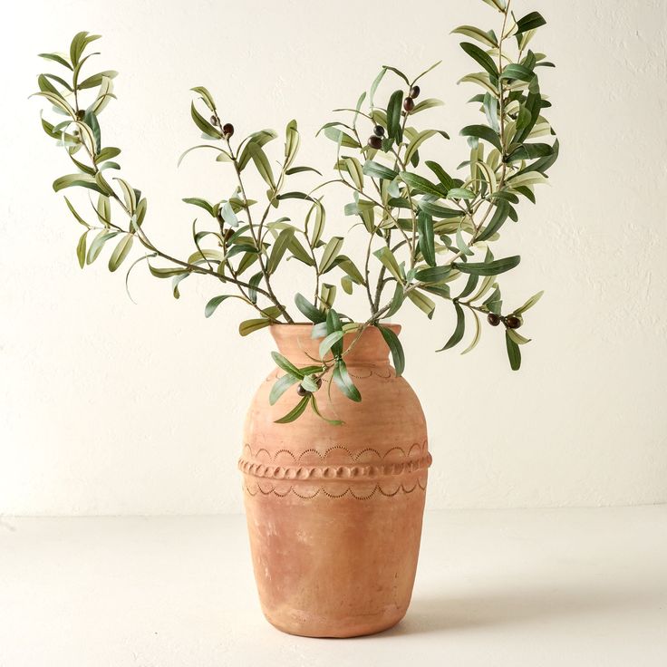 a plant in a clay vase on a table with white wall behind it and green leaves