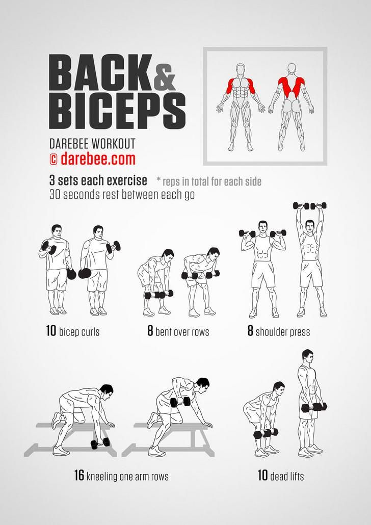 the back and biceps workout poster shows how to do exercises with dumbbells