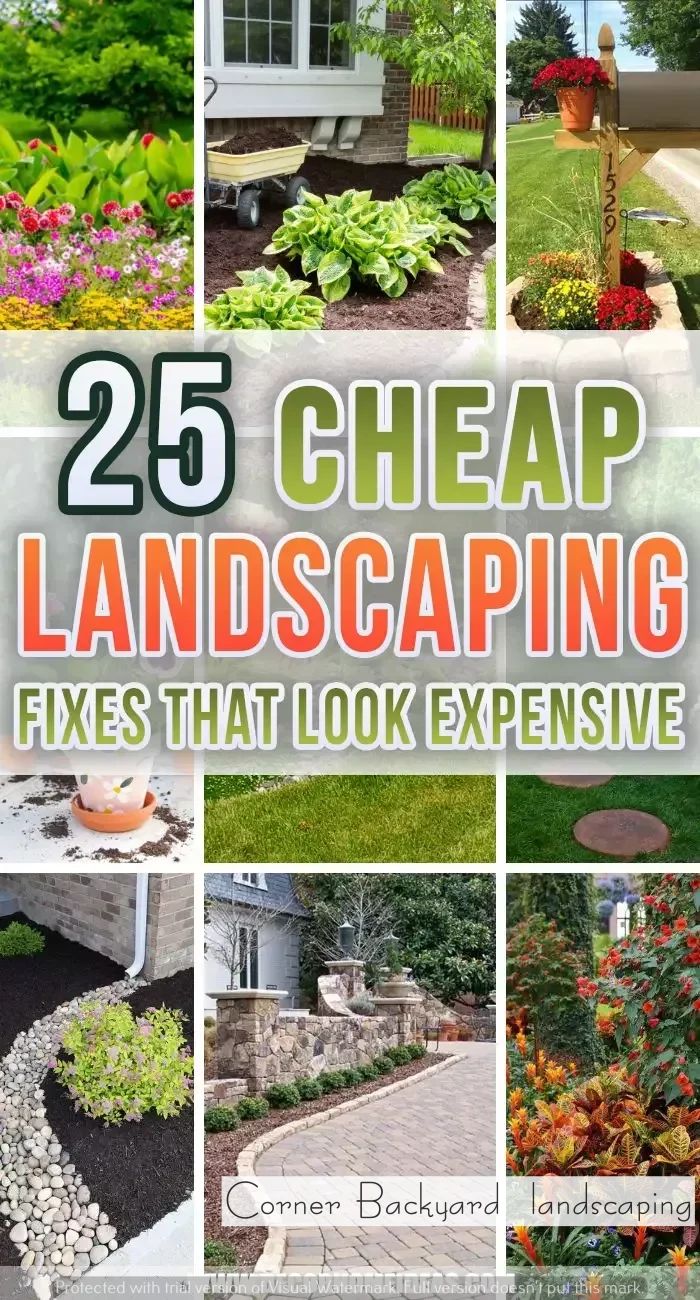 25 cheap landscaping fixes that look expensive