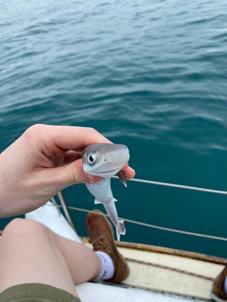 a person is holding a small fish in their hand while sitting on the deck of a boat