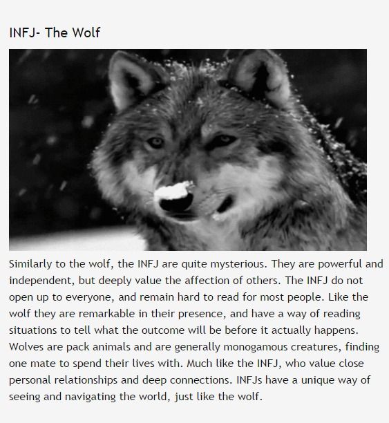 Personalidad Infj, Infj Traits, Infj Psychology, Infj Things, Intj And Infj, Infj Type, Infj Intj, Meyers Briggs, Infj Mbti