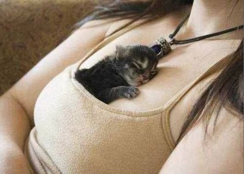 a woman holding a small kitten in her stomach and wearing a necklace with a cat on it