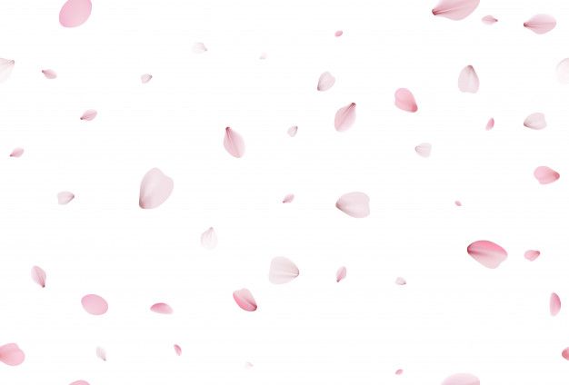 pink petals falling down into the air on a white background