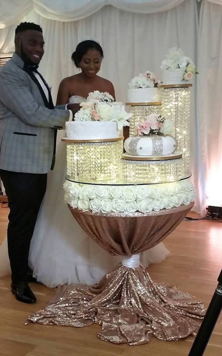 a newly married couple cutting their wedding cake