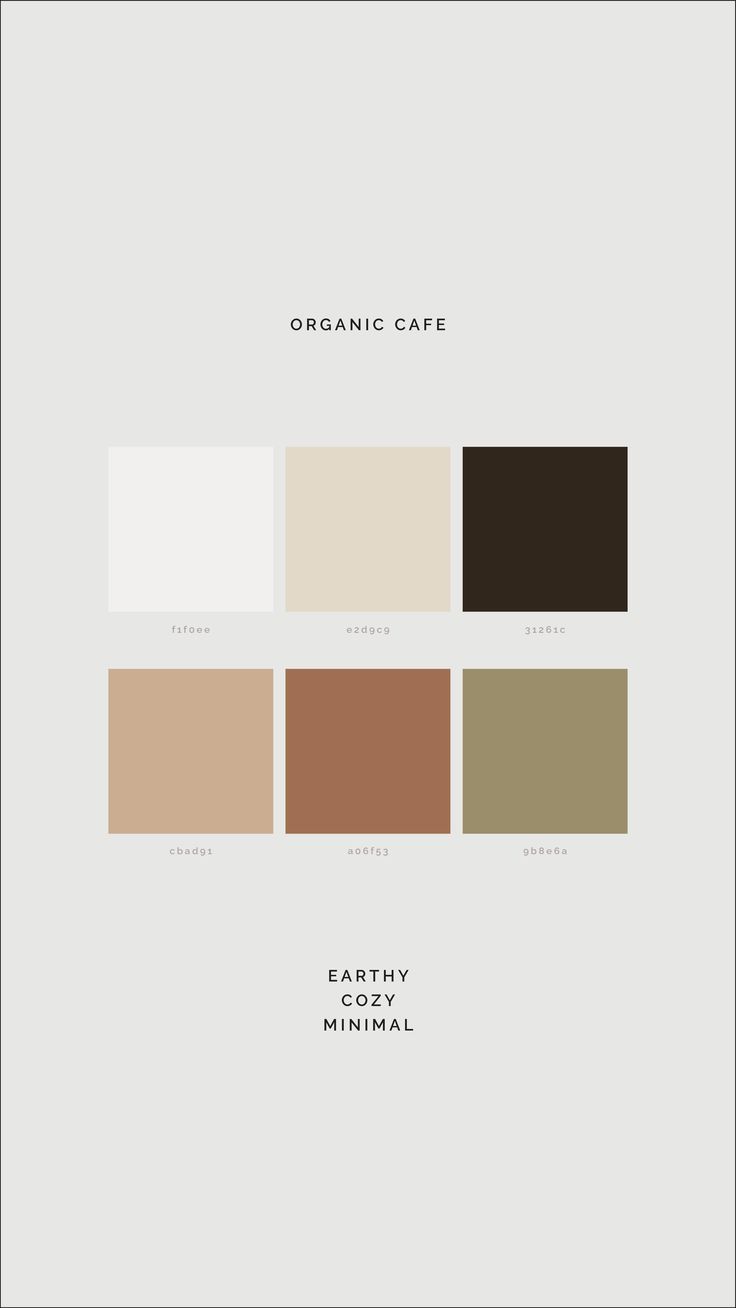 the color scheme for an organic cafe