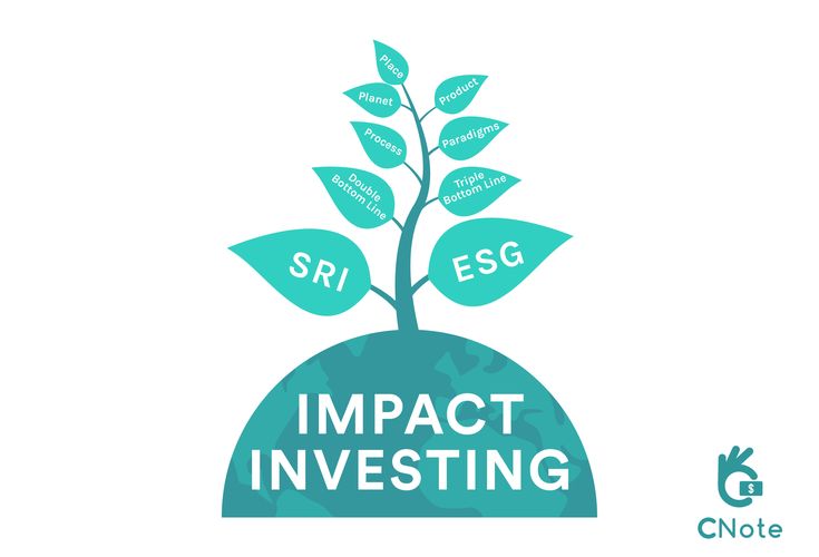 a plant growing out of the top of a hill with words that say impact investing