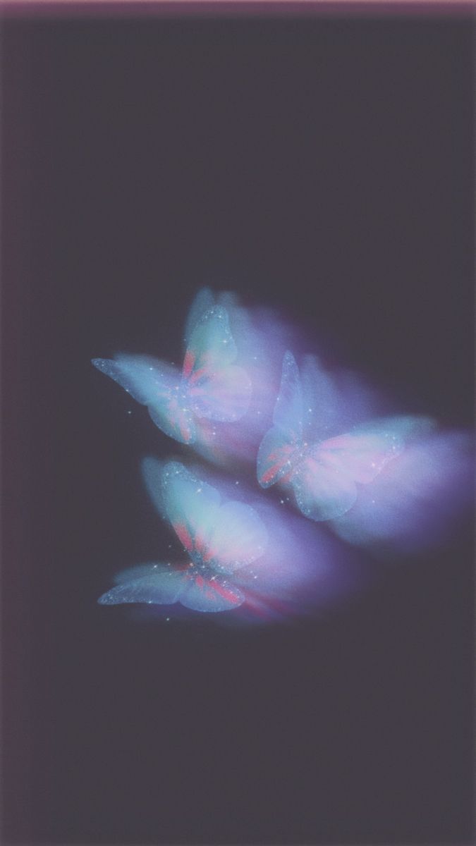 an abstract photograph of blue and pink flowers on a black background with light coming from the petals