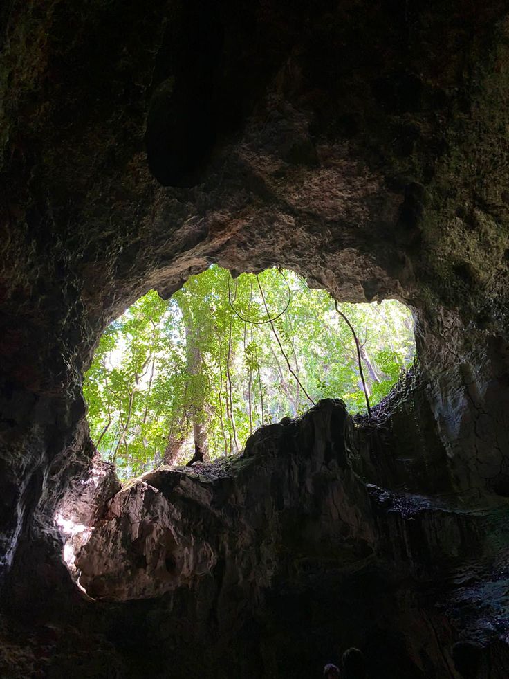 the entrance to an underground cave with trees in the background and people standing on the other side