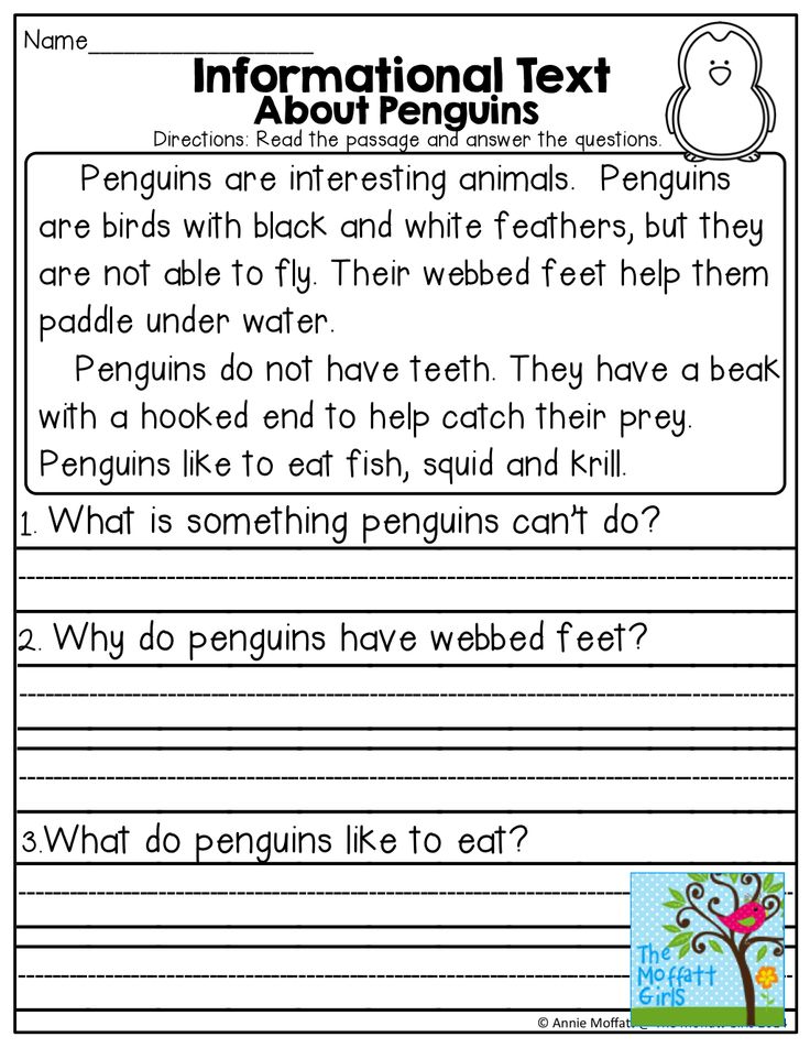 worksheet for reading the penguin and other animals