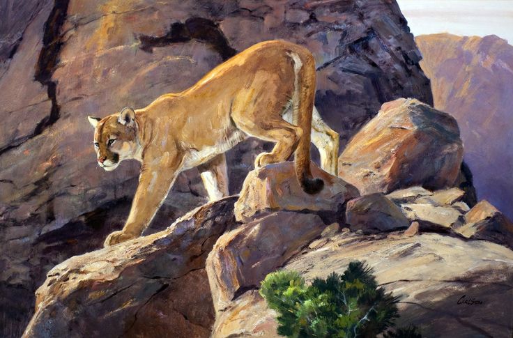 a painting of a mountain lion standing on top of a rock