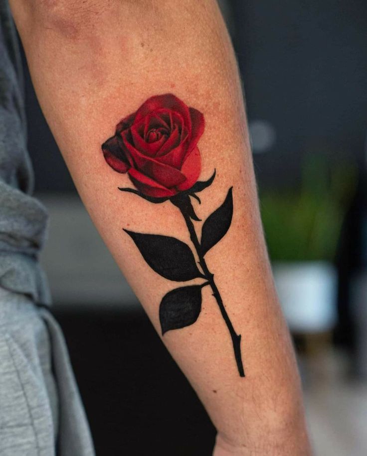 a red rose with black leaves on the arm