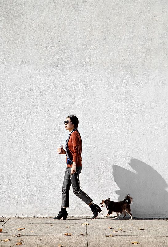 a man walking his dog down the street with a cup of coffee in front of him