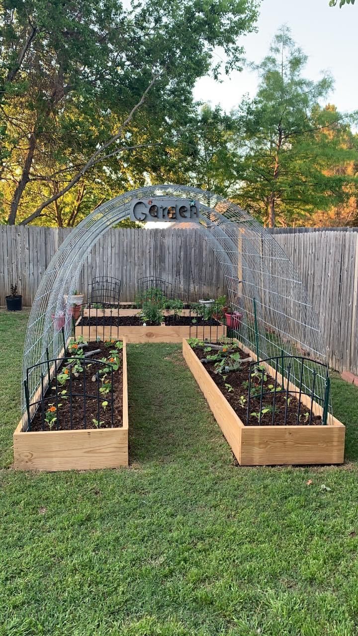 an outdoor garden area with raised wooden planters and plants growing in the center, surrounded by a fence