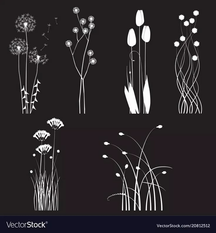 the silhouettes of flowers and grass on a black background