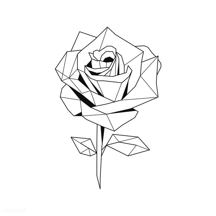 Linear illustration of a rose flower | premium image by rawpixel.com / poyd Geometric Flower Drawing, Geometric Rose Tattoo, Linear Illustration, Rose Outline, Linear Art, Flower Geometric, Geometric Rose, Polygon Art, Flowers Drawing