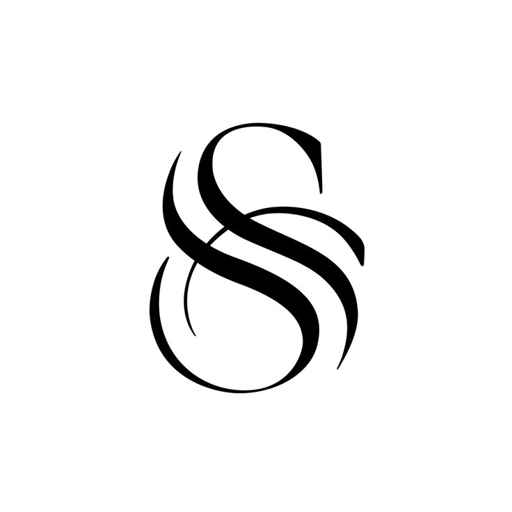 the letter s is made up of black lines