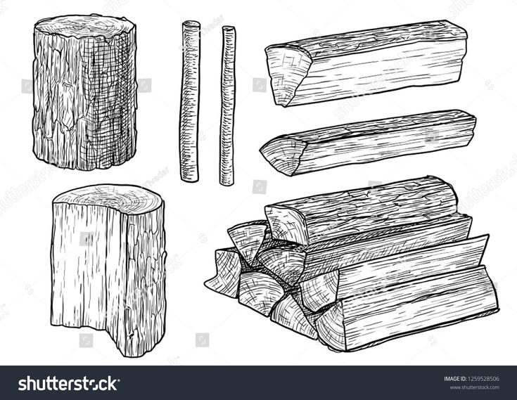 different types of logs and sticks drawn in ink on white paper, hand drawn illustration