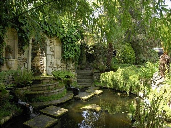 a small pond surrounded by greenery and stone steps