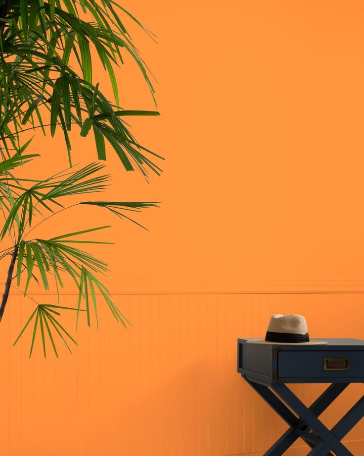 a hat is sitting on top of a small table next to a palm tree in front of an orange wall