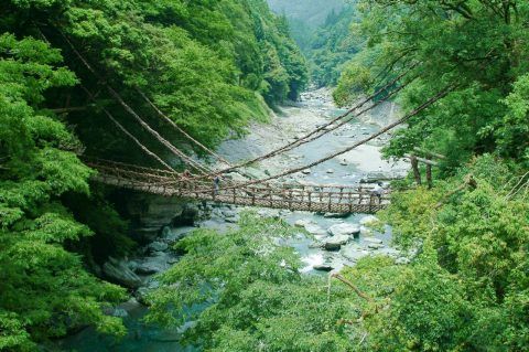 The Most Stunning Walking Trails in Japan | Travel Insider | Japan ...