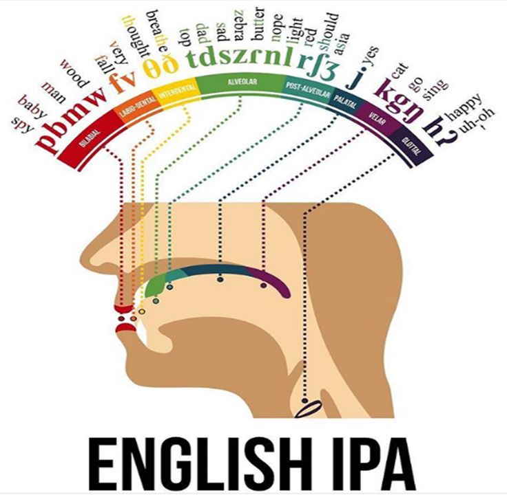 an english logo with the words in different languages on it and a person's head