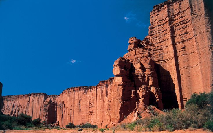 the rock formations are very tall and red with green trees in front of them, against a blue sky