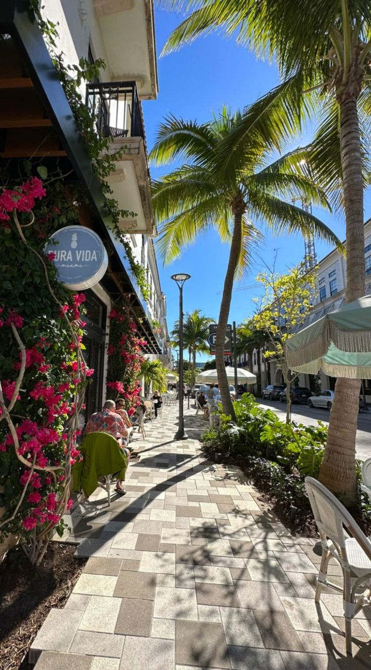 the sidewalk is lined with chairs and palm trees