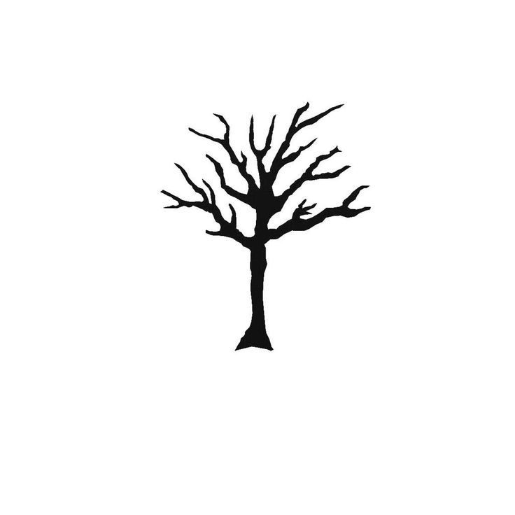 a black and white photo of a tree with no leaves