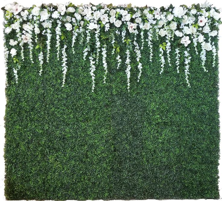 an artificial grass wall with white flowers and greenery on top, in front of a white background