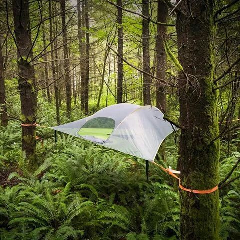 a tent in the middle of a forest with trees and bushes around it, hanging upside down