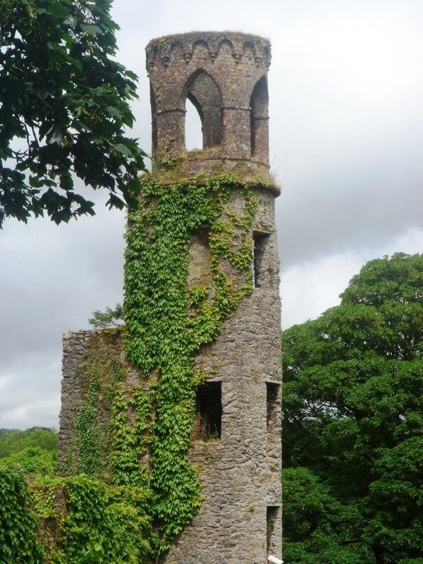 an old stone tower with vines growing on it