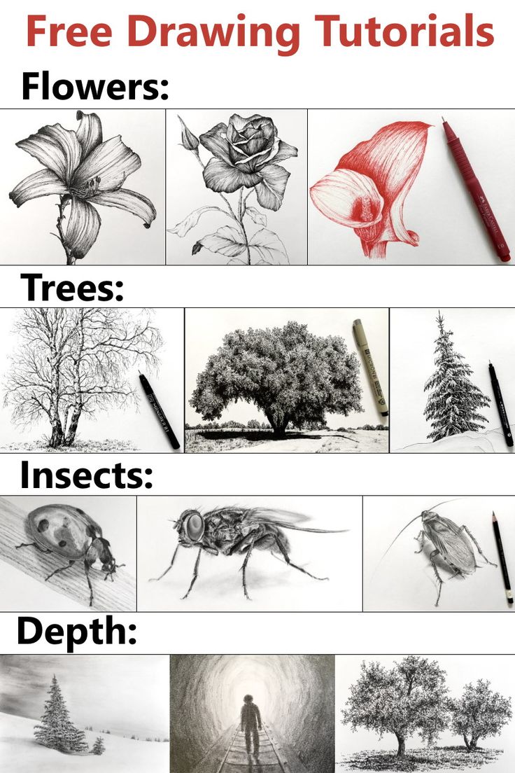 the steps to drawing flowers and trees with pencils are shown in this step - by - step guide