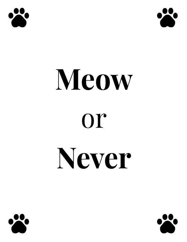 the words meow or never written in black on a white background with paw prints