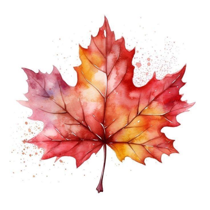 a watercolor painting of a red and yellow maple leaf