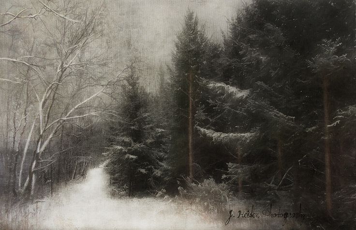 a painting of trees and snow on a snowy day in the woods, with an old - fashioned look