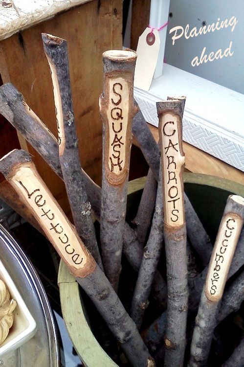 several wooden sticks with writing on them sitting in a pot