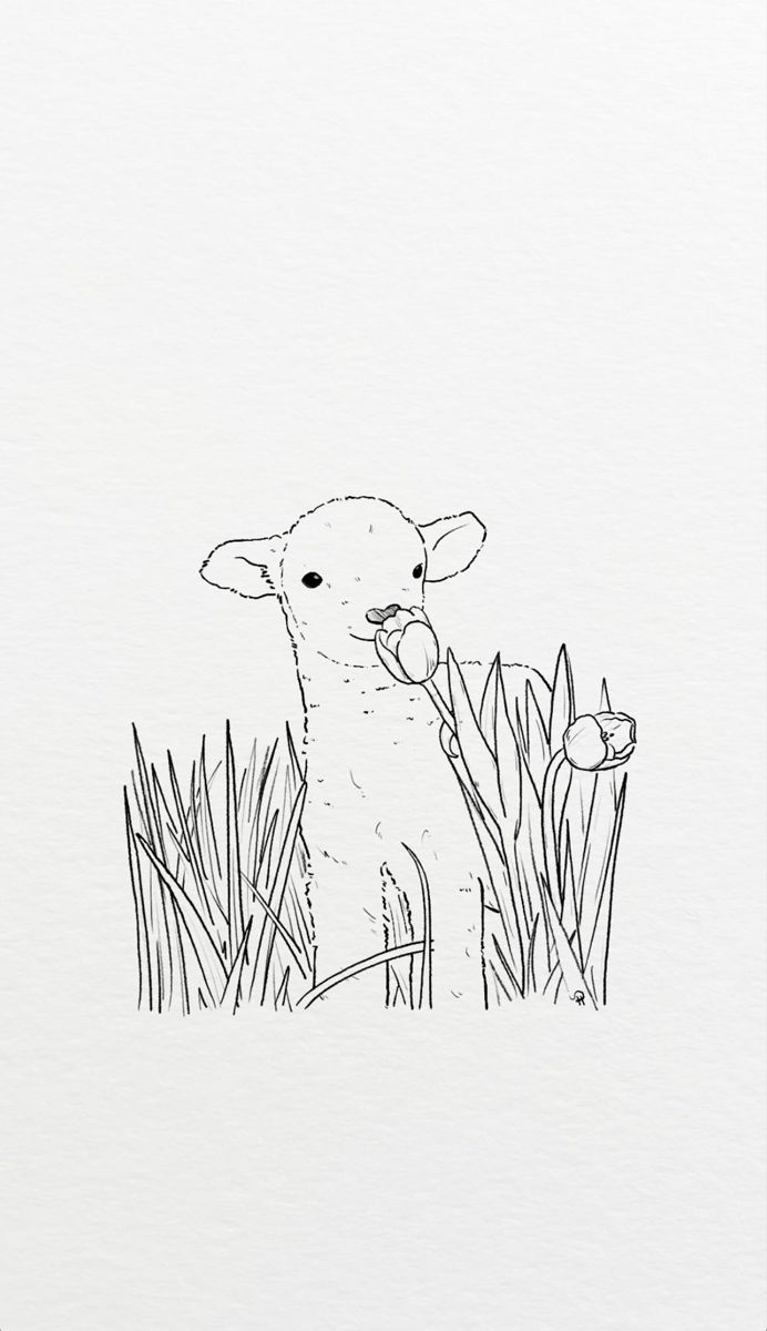 a black and white drawing of a sheep in the grass with flowers on its nose