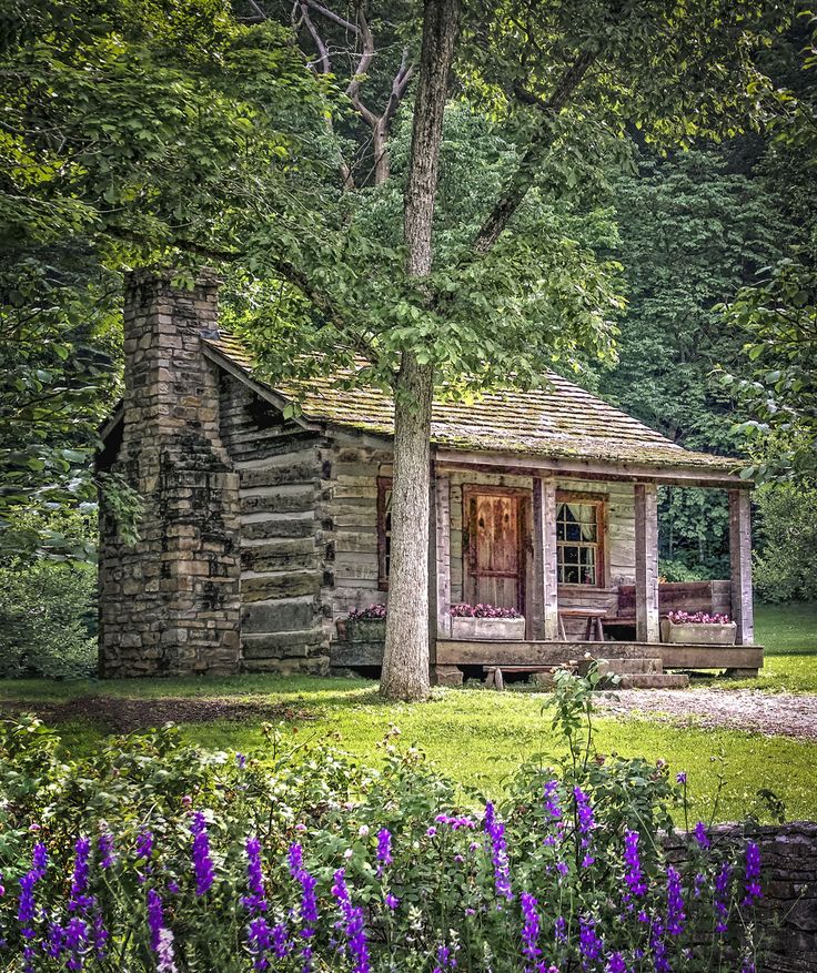 an old log cabin sits in the middle of a field with purple flowers around it